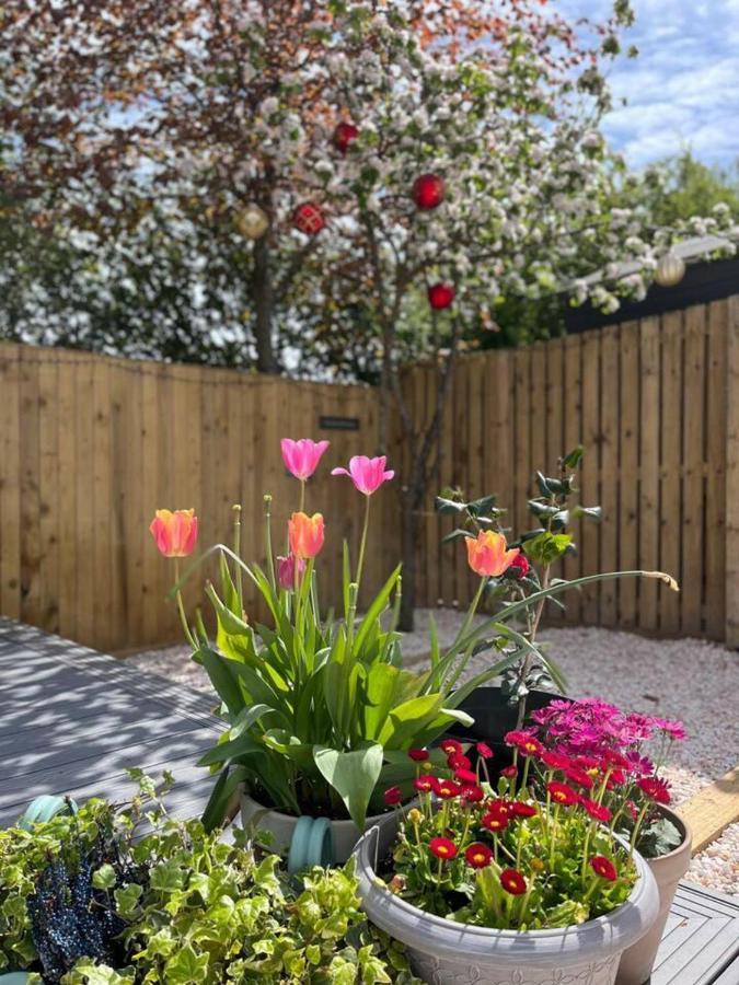 Lovely 2-Bed House In St Andrews Scotland Luaran gambar